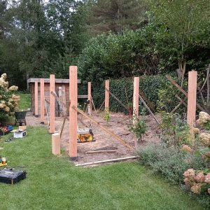 pergola 2